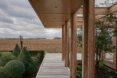 narrow wood path next to wall of glass