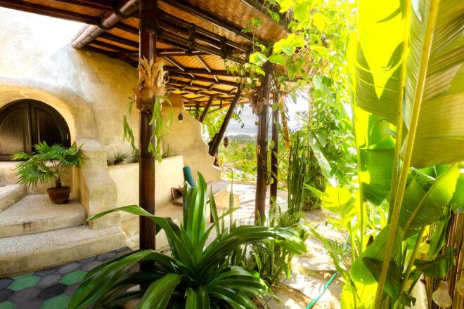 lush plants in covered patio space beside dome home