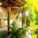 lush plants in covered patio space beside dome home