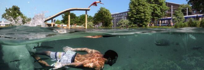rendering of person swimming in lake at a park