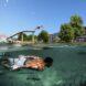 rendering of person swimming in lake at a park