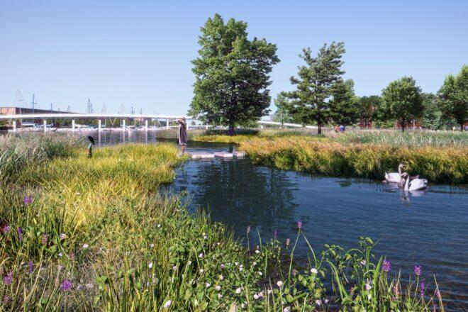 rendering of wetlands in a park