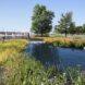 rendering of wetlands in a park