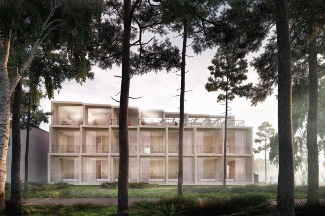 rendering of trees growing around a timber hotel building