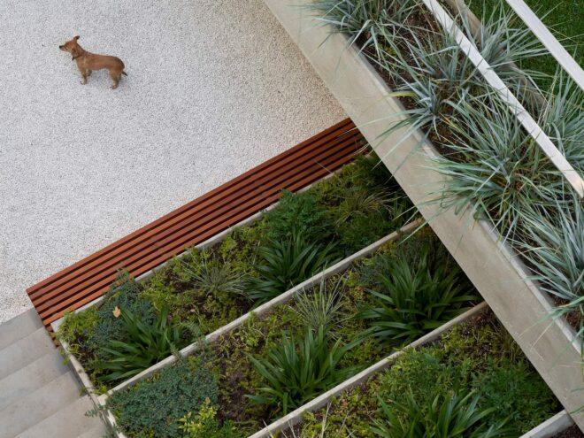 aerial view of stepped vertical garden
