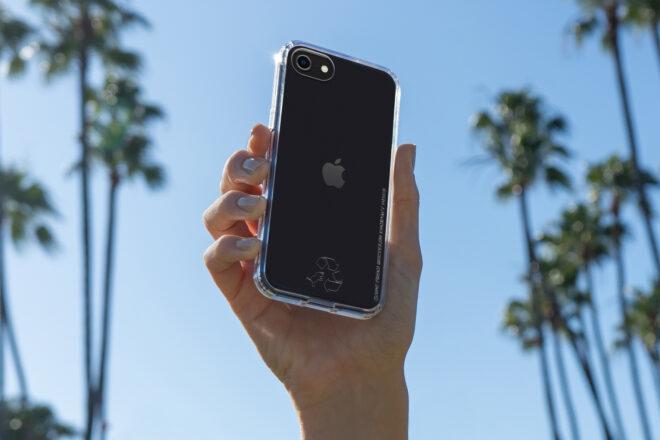 person holding phone with palm trees in the background
