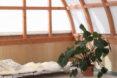 leafy plant growing next to small bench in a room with timber and glass walls