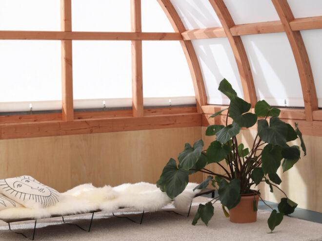 leafy plant growing next to small bench in a room with timber and glass walls