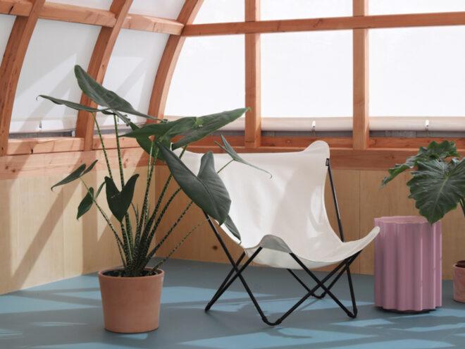 white lounge chair next to large plant in room with timber and opaque glass walls