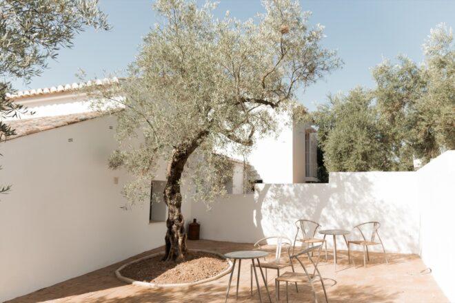 small dining sets under olive tree in a courtyard