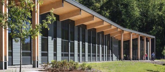gray and light timber building