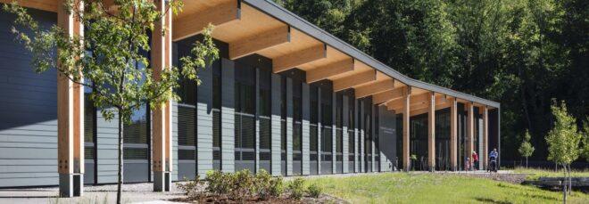 gray and light timber building