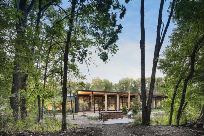 gray and light timber building surrounded by forest