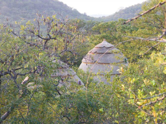 Two thatched domes partially obscured by trees.