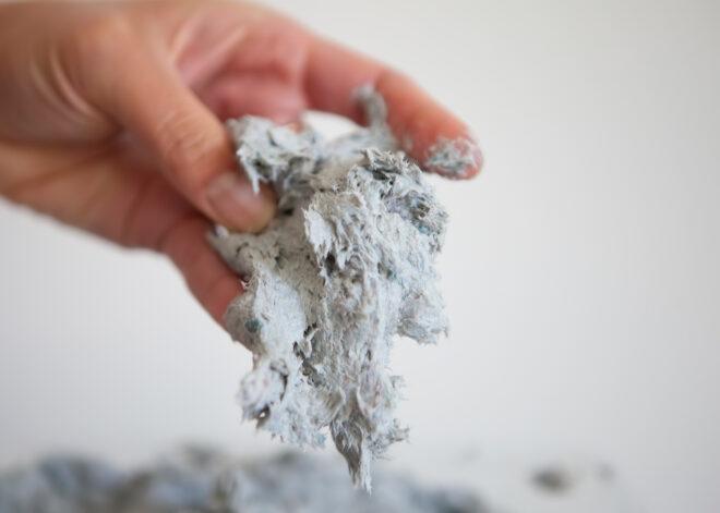 person holding paper pulp