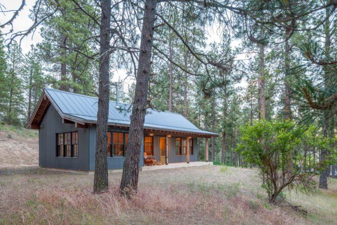 dark wood and metal cabin with gabled roof