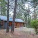 dark wood and metal cabin with gabled roof