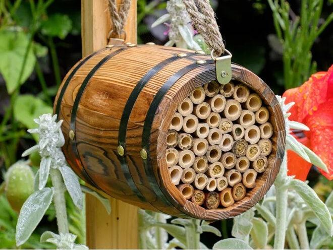 mason bee hive in barrel