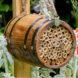 mason bee hive in barrel
