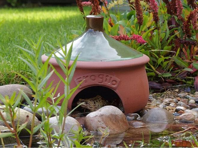 frog habitat container in garden
