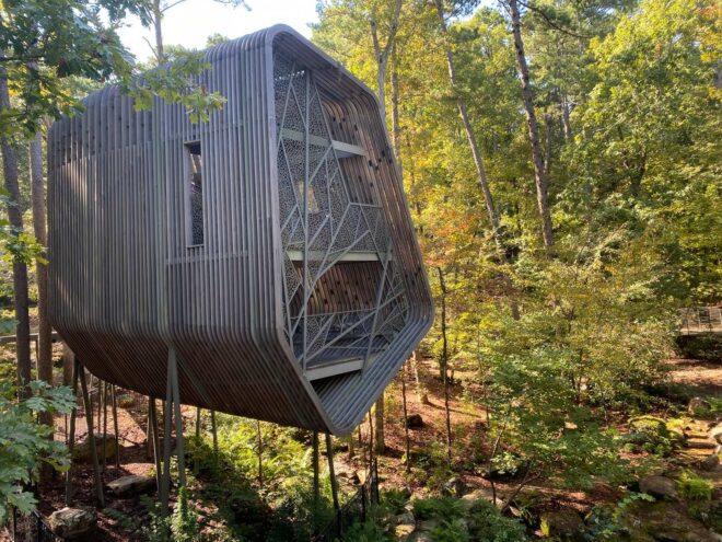 wood treehouse in a forest