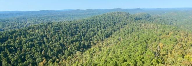 aerial view of tree-covered mountains in Hot Springs, Arkansas