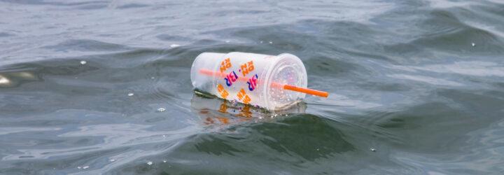 Dunkin' Donuts plastic drink cup floating in Atlantic Ocean