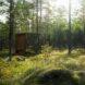 wood and glass cabin in a forest