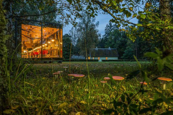 glass cabin with transparent walls lit up at dusk