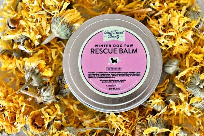 paw balm in tin can on bed of flowers