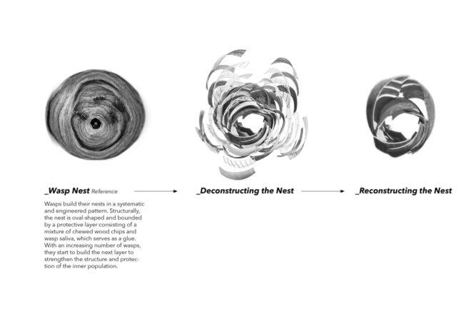 diagram of a wasp nest
