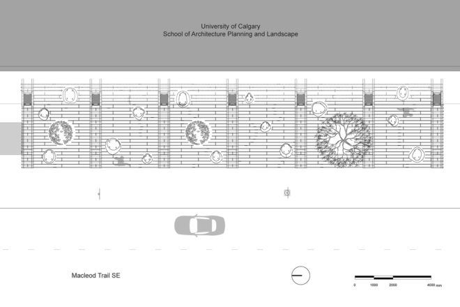 A grayscale plan of the wood canopy.