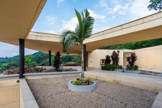 small palm tree growing in center of a courtyard