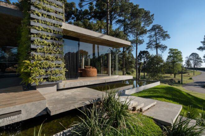 vertical garden growing on side of a house