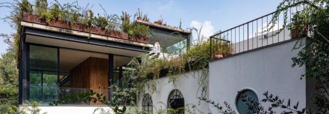 A corporate building with a white and glass facade. Lush greenery surrounds the building.