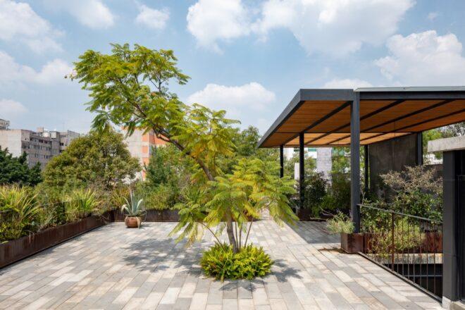 A courtyard with a tree in the center.