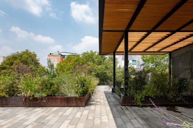A courtyard surrounded by greenery.