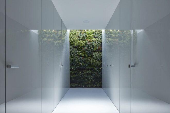 white hallway with a green wall at the end