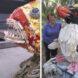 Two images: to the left, a child looking at a sculpture of a fish. To the right, a person standing next to a puffin sculpture.