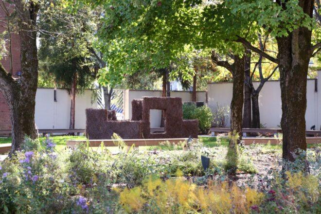 four walls with window and door cut-outs standing alone in a park
