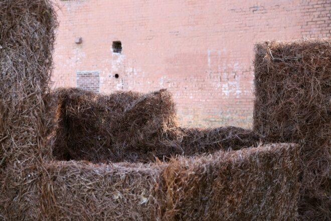 four walls made of invasive plants and forestry scraps