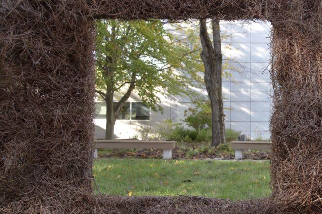 square window in a wall made of plants