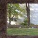 square window in a wall made of plants