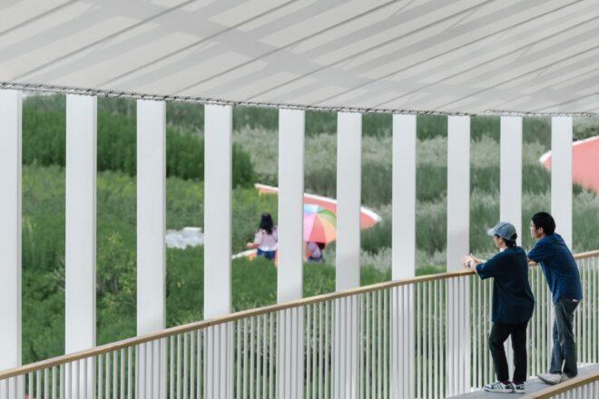 people standing near railing and looking out toward a park