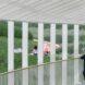 people standing near railing and looking out toward a park
