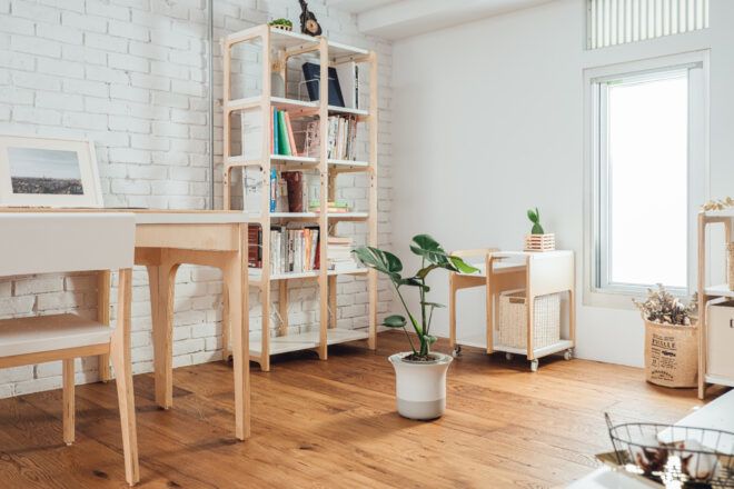 A large potted plant near a bookcase.