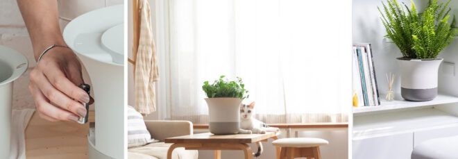 Three images: to the left, a hand putting batteries into the pot. In the middle, a potted plant on a table. To the right, another green potted plant.