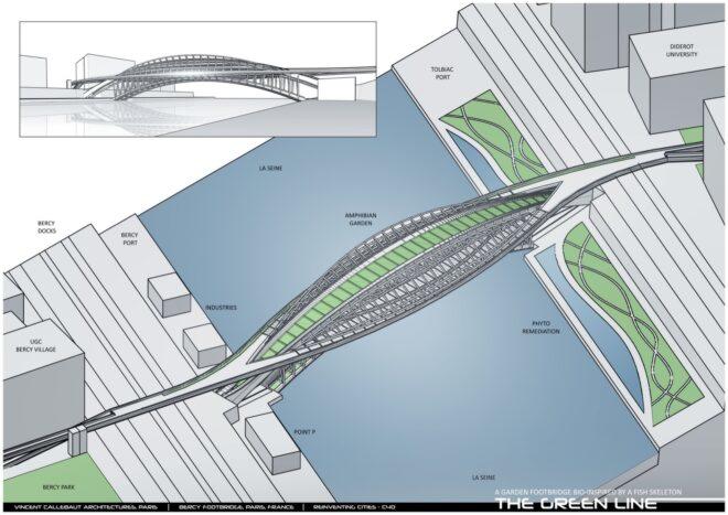aerial diagram and section view of plant-covered bridge