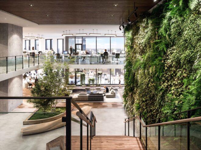 rendering of shared office space with a green wall