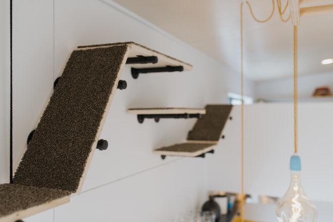 cat ramps built into a tiny home wall